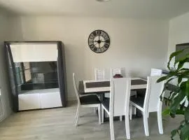 Grand appartement spacieux