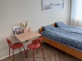 Short stay in the city center with free parking