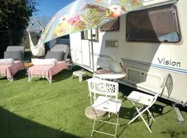 Gardencaravan near Ghent in green area