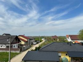 Belgrade Airport single bed，位于Surčin的酒店