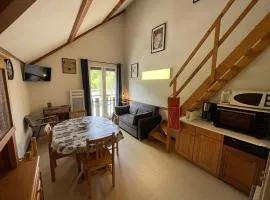 Coquet studio mezzanine exposé sud avec animaux admis - FR-1-787-122