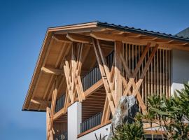 Weinberg-Chalet Steindlgut - Brixen Panorama Luxury Apartments，位于Brixen的酒店