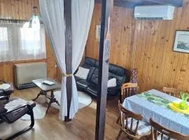 Wooden house Ada