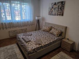 R & P Apartman Mladenovac，位于姆拉代诺瓦茨的酒店