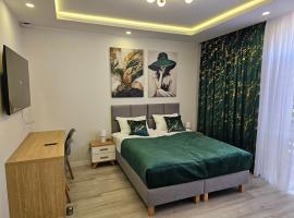 Pensjonat-ek pod Jaworem，位于哈伊努夫卡的酒店