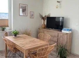Apartamenty na Wzgórzu Boho 1- Jacuzzi, sauna, survival, free parking