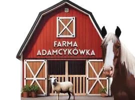 APARTAMENTY Adamcykówka blisko Velo Czorsztyn!