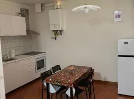 La casa del Geko rosa