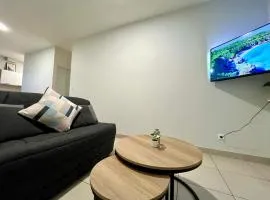 Bel appartement à 15 min de Lyon