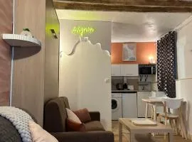 Magnifique Cocon Intra-Muros - Studio de Charme au Coeur d'Avignon