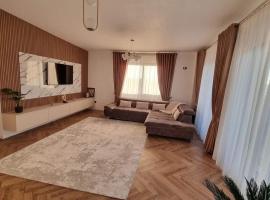 Daric Residence Penthouse Apartament，位于弗尔蒂切尼的酒店