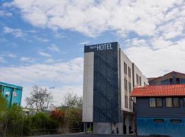 Bucharest Airport Hotel，位于奥托佩尼的酒店