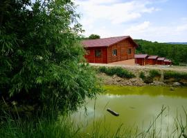 Centru de activități, retreaturi, fermă，位于Bicăcel的青旅