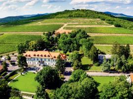 Castle Hotel Grof Degenfeld Superior，位于陶尔曹尔的酒店
