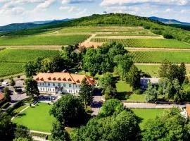 Castle Hotel Grof Degenfeld Superior