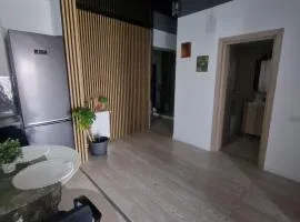 Apartament de lux 2 camere cu vedere Lacul Morii