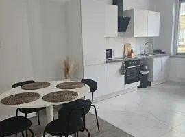 Brussels apartment with terrace 2