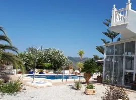 Palm tree villa