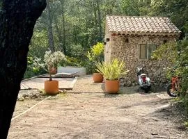 Le Cabanon des Morilles