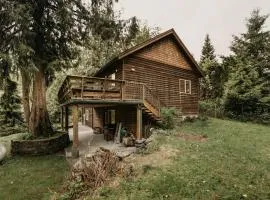 Mt Baker Rim Cabin 77, The Mountain View Delight