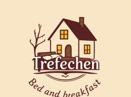 Trefechen BNB，位于梅瑟蒂德菲尔的酒店