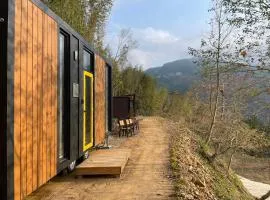 Ninekm Forest Wilderness X by Tiny Away
