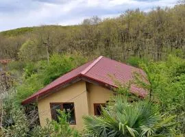 Yellow villa Fani