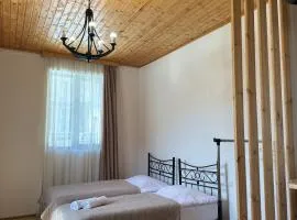 Teona's Guesthouse in Mestia