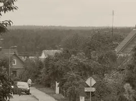 Namelis 1954