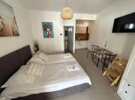 Studio apartman Velvet