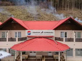 Pensiune Restaurant Căprioara Toplița