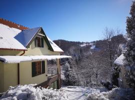 Vadr&oacute;zsa Vend&eacute;gh&aacute;z，位于M&aacute;traszentistv&aacute;n的宠物友好酒店