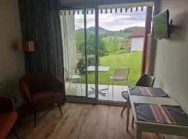 BANCA Piscine Vue Montagnes
