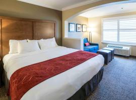 弗雷斯诺河滨公园舒适套房酒店，位于弗雷斯诺的酒店