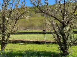 Le Nid - Maison proche de la forêt