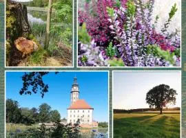 Ferienhaus Waldblick