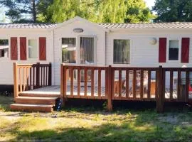 Cabane du bonheur
