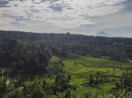 Gunza Bed and Breakfast