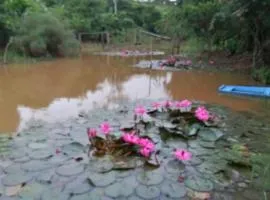 Granja Las Heliconias