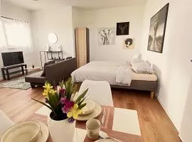 Studio Apartment Albblick