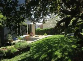 Versant de vigne