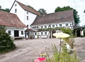 Moulin de Schwabwiller