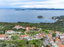 Apartments with a parking space Savar, Dugi otok - 14373