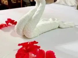 Zanzllywood Uroa Beach Suites Hotel Apartment