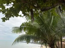 Noah's Ark Beachfront