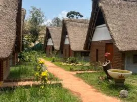The Imagination Auroville