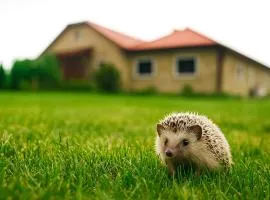 Domek w leśnym zaciszu