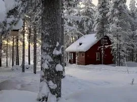 Cozy and comfortable cottage, Levi Lapland