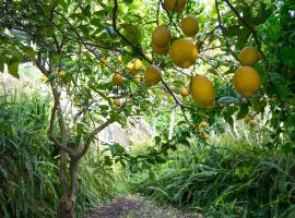 Villa Pace，位于米诺利的酒店