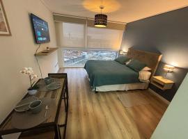 Moderno Estudio en Osorno Full Equipado，位于奥索尔诺的带泳池的酒店